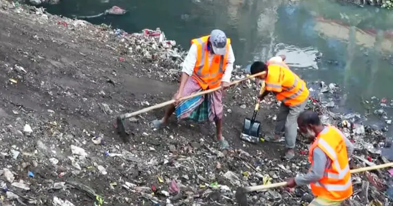 পরিচ্ছন্নতা কার্যক্রম